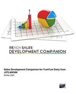 REACH Sales Team Personality Profile Reports